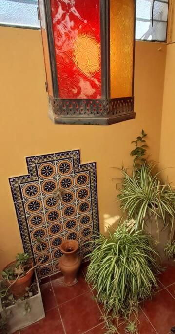 ¨Las Mayolicas¨ Hermoso Depto Con Patio Espanol Mendoza Luaran gambar