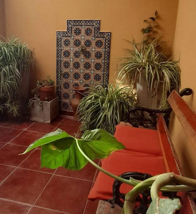 ¨Las Mayolicas¨ Hermoso Depto Con Patio Espanol Mendoza Luaran gambar
